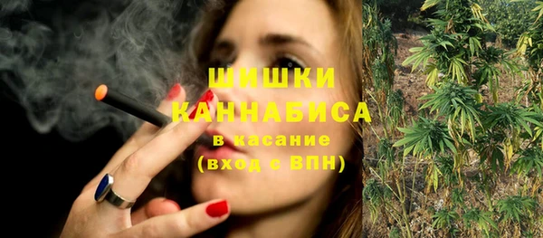 молекула духа Заволжье