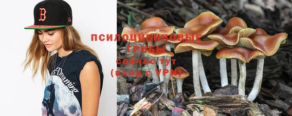 MDMA Premium VHQ Заводоуковск