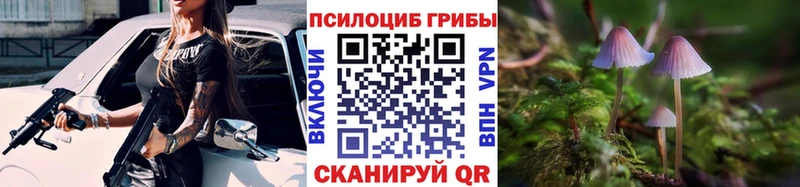 Галлюциногенные грибы Psilocybe  Инта 