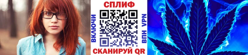 Бошки марихуана THC 21%  Инта 